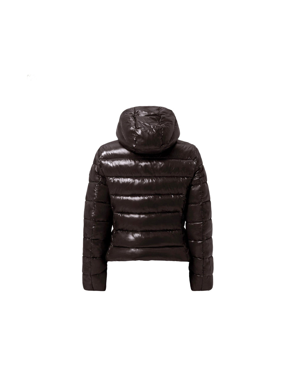 Giacca imbottita slim con cappuccio Save The Duck Cosmary, colore Marrone nero (Brown Black), immagine 4 di 6