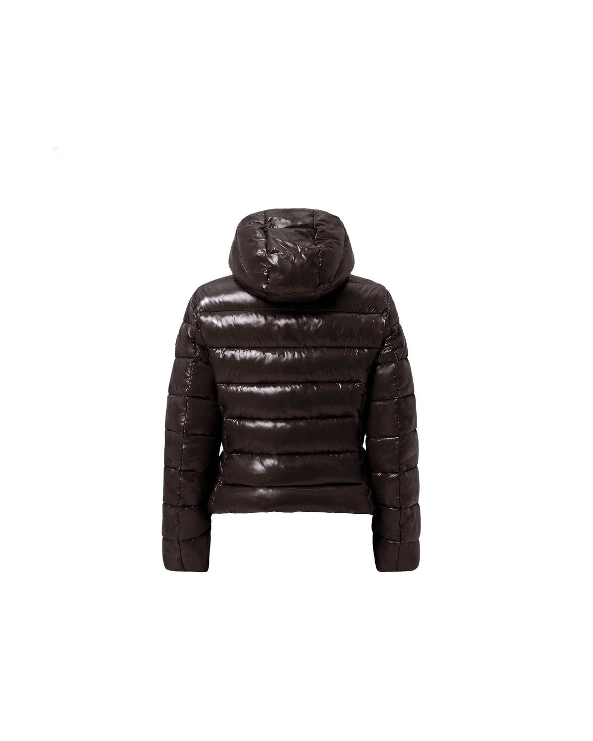 Giacca imbottita slim con cappuccio Save The Duck Cosmary, colore Marrone nero (Brown Black), immagine 4 di 6