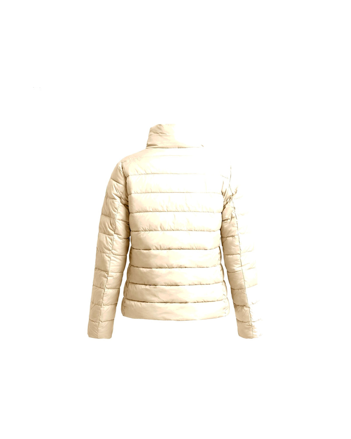 Save The Duck Susy, giacca imbottita corta, colore beige pietra (Stone Beige), immagine 4 di 6